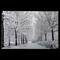 Fiber Optic Lighted Snowfall Winter Lane Christmas Canvas Wall Art